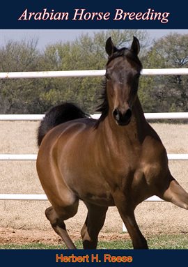 Cover image for Arabian Horse Breeding