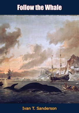 Cover image for Follow the Whale