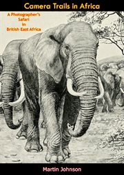Camera trails in Africa cover image