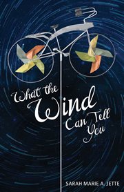 What the wind can tell you cover image