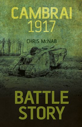 Cover image for Cambrai 1917