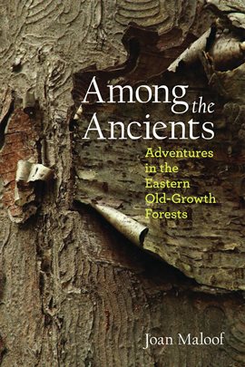 Cover image for Among the Ancients