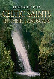 Celtic Saints in Their Landscape : In Their Landscape cover image