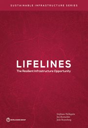 Lifelines : The Resilient Infrastructure Opportunity cover image
