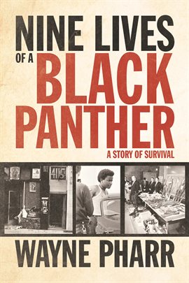 Cover image for Nine Lives Of A Black Panther