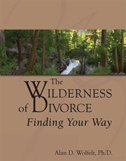 The wilderness of divorce cover image