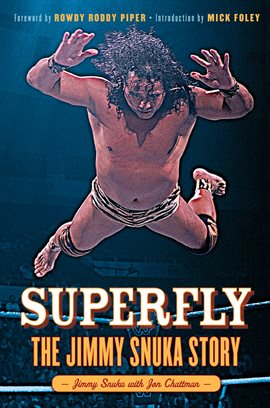 Cover image for Superfly