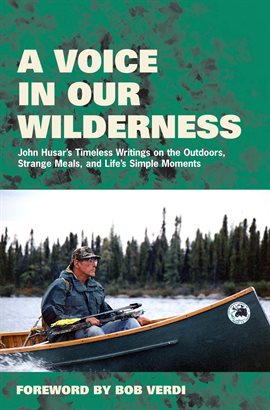 Cover image for A Voice in Our Wilderness