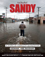 Sandy a Story of Complete Devastation, Courage, and Recovery cover image
