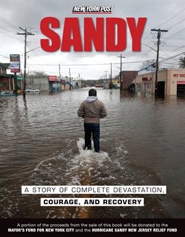 Cover image for Sandy