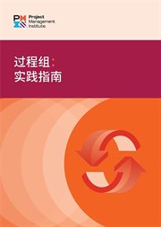 Process Groups : A Practice Guide (Simplified Chinese) cover image