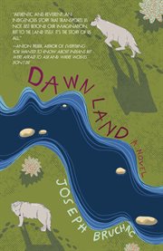 Dawn Land cover image