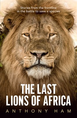 Cover image for The Last Lions of Africa