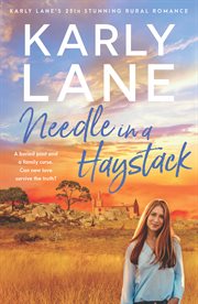 Needle in a Haystack cover image