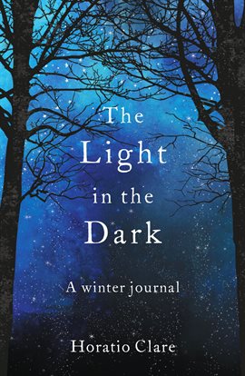 Cover image for The Light in the Dark