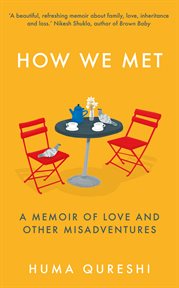 How we met : a memoir of love and other cover image