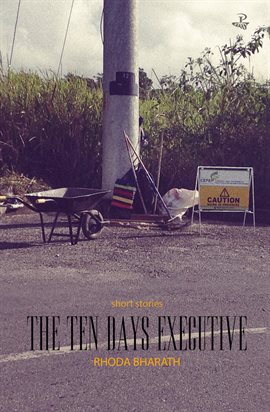 Cover image for Ten Days Executive