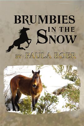 Cover image for Brumbies in the Snow