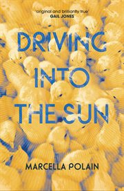 Driving into the sun cover image