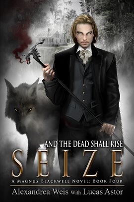 Cover image for Seize