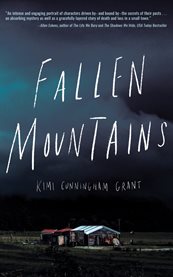 Fallen mountains : a novel cover image