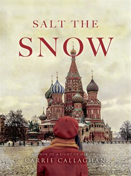Cover image for Salt the Snow