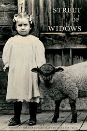 Street of widows & other stories cover image