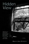 Hidden view : a novel cover image