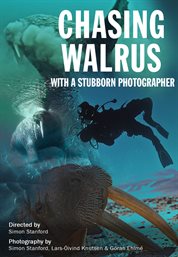 Chasing Walrus cover image