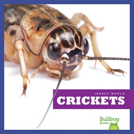 Cover image for Crickets