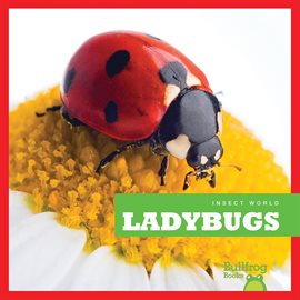 Cover image for Ladybugs