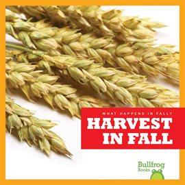 Cover image for Harvest in Fall
