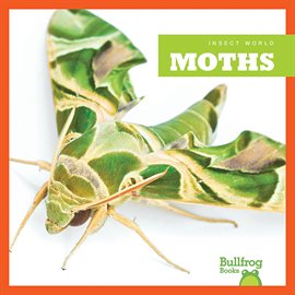 Cover image for Moths