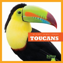 Cover image for Toucans