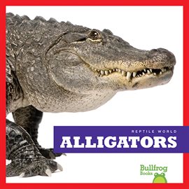 Cover image for Alligators