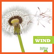 Wind cover image