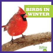 Birds in winter cover image