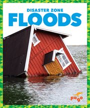 Floods : disaster zone cover image