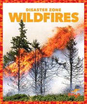 Wildfires : disaster zone cover image