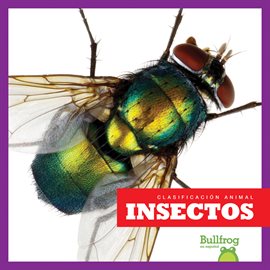 Cover image for Insectos (Insects)