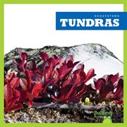 Tundras cover image