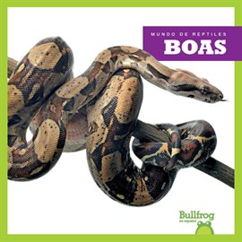 Cover image for Boas (Boa Constrictors)
