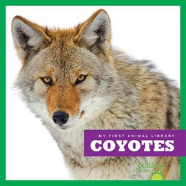 Cover image for Coyotes