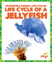 Life cycle of a jellyfish cover image