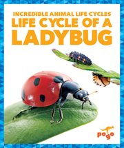 Life cycle of a ladybug cover image