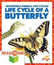 Life cycle of a butterfly cover image