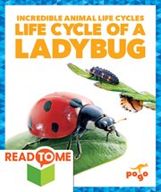 Life cycle of a ladybug cover image