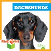 Dachshunds cover image