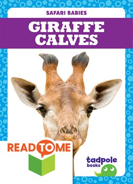 Cover image for Giraffe Calves