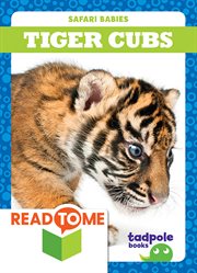 Tiger cubs cover image